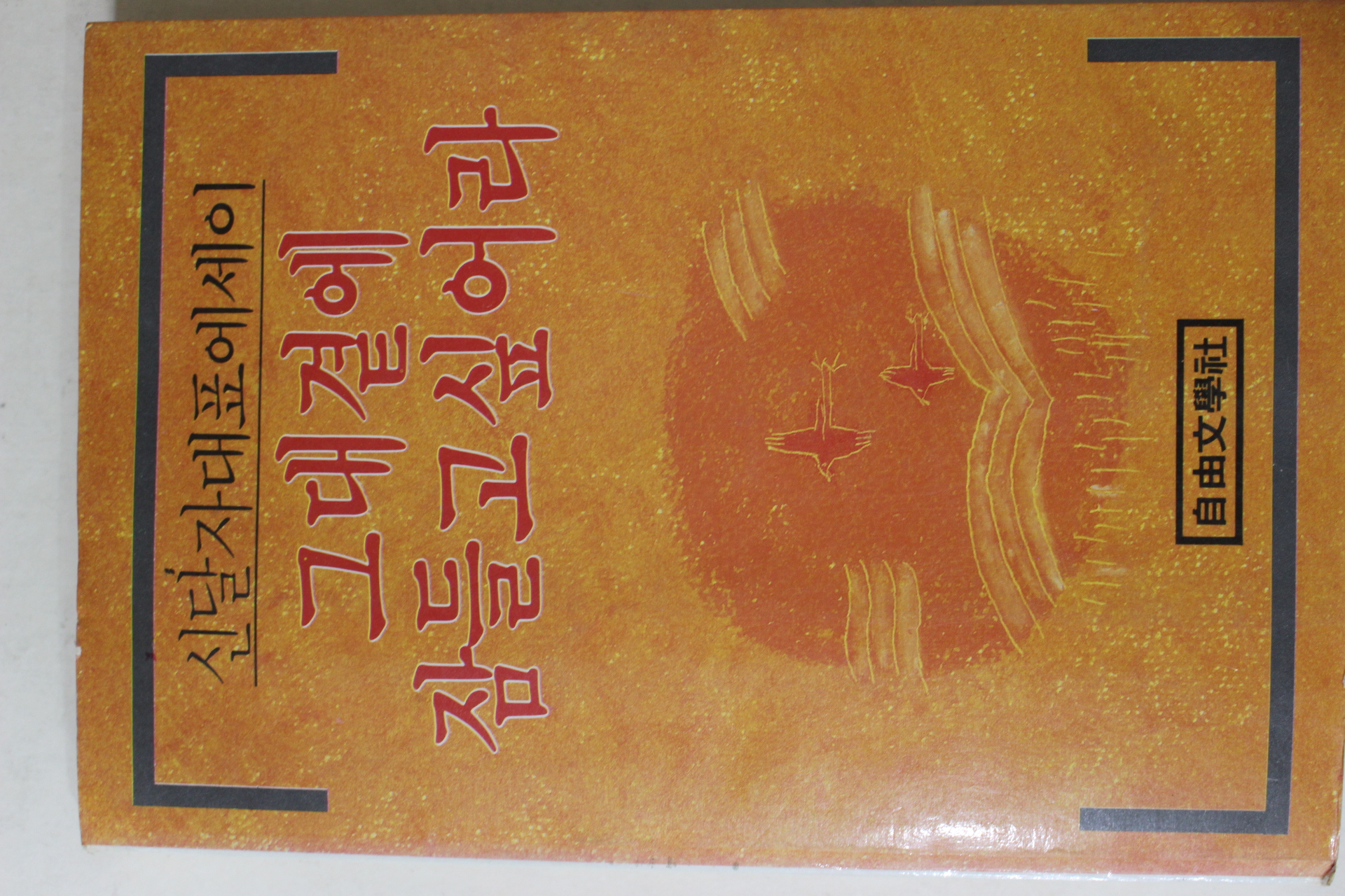 1986년초판 신달자 대표에세이 그대 곁에 잠들고 싶어라