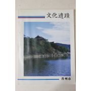 1992년 진주시 문화유적