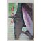 1977년초판 하근찬(河瑾燦)창작집 일본도(日本刀)