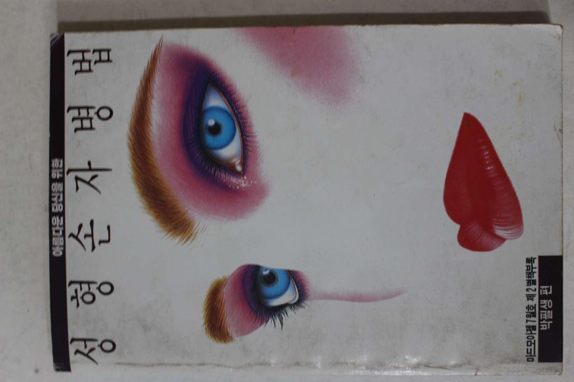 1987년 마드모아젤 별책부록 박필생 편 성형손자병법