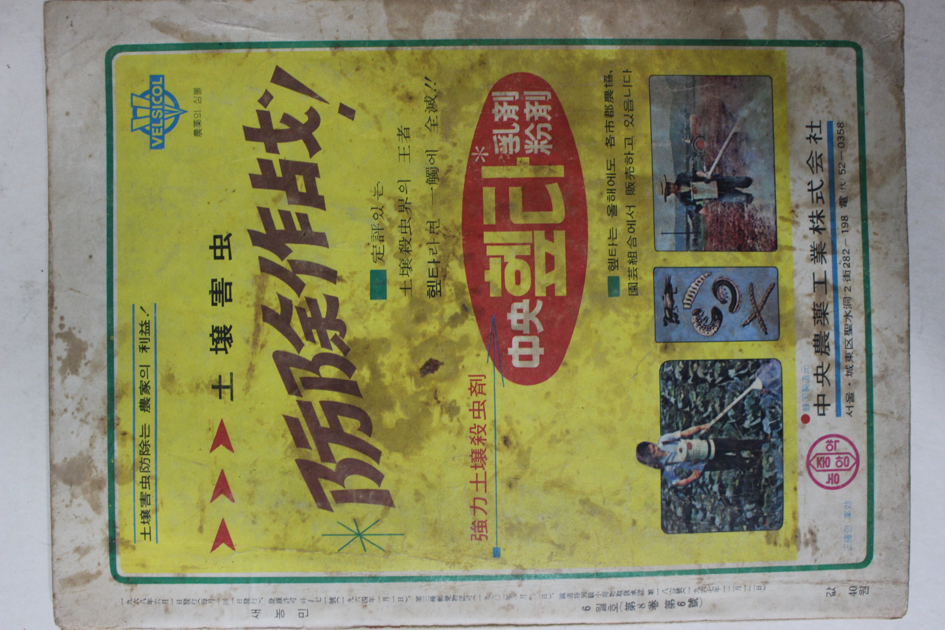 1968년 새농민 6월호