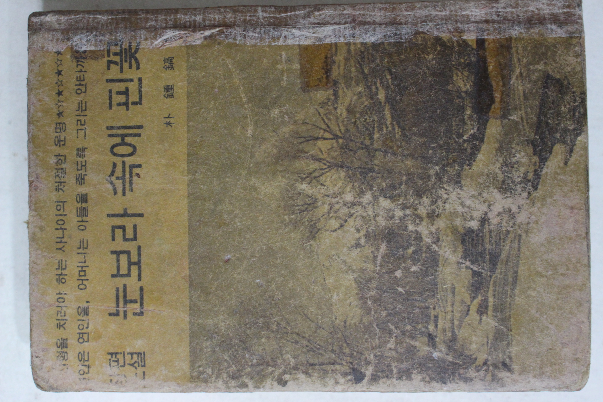 1972년초판 박종호(朴鍾鎬) 장편소설 눈보라 속에 핀꽃