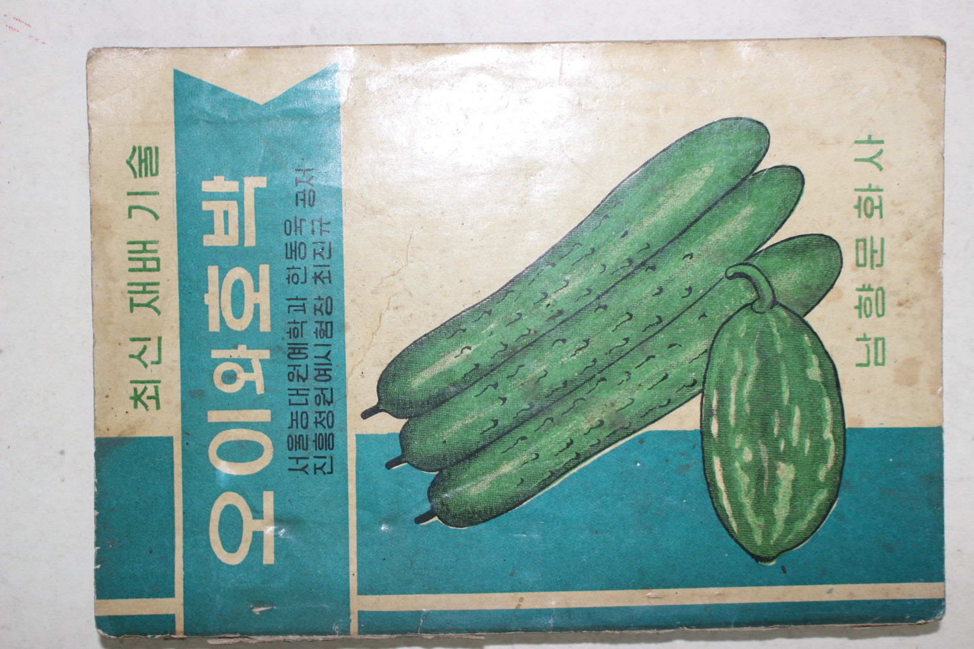 1966년초판 한동욱,최진규 오이와 호박