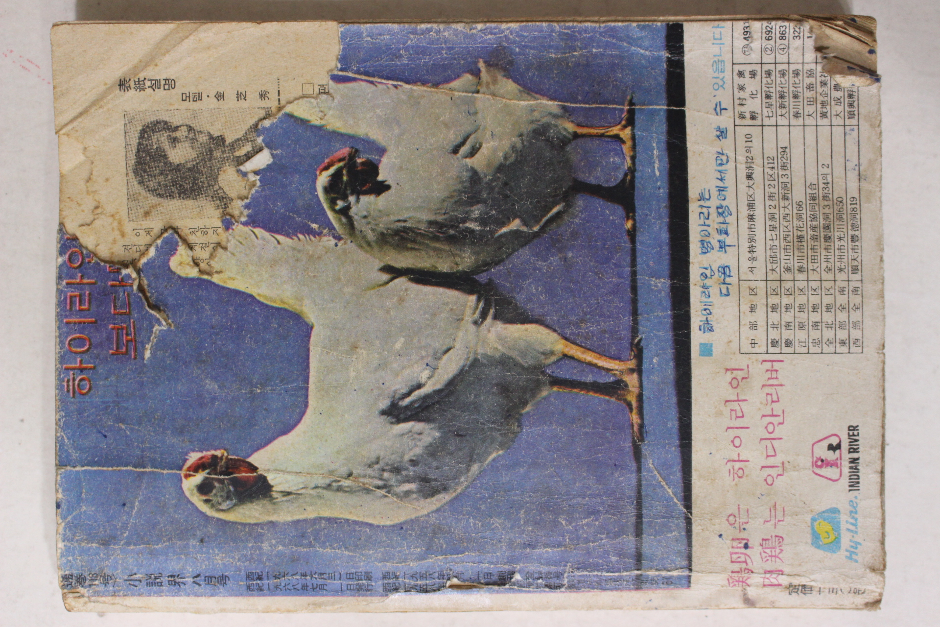 1968년 월간 소설계(小說界) 8월호