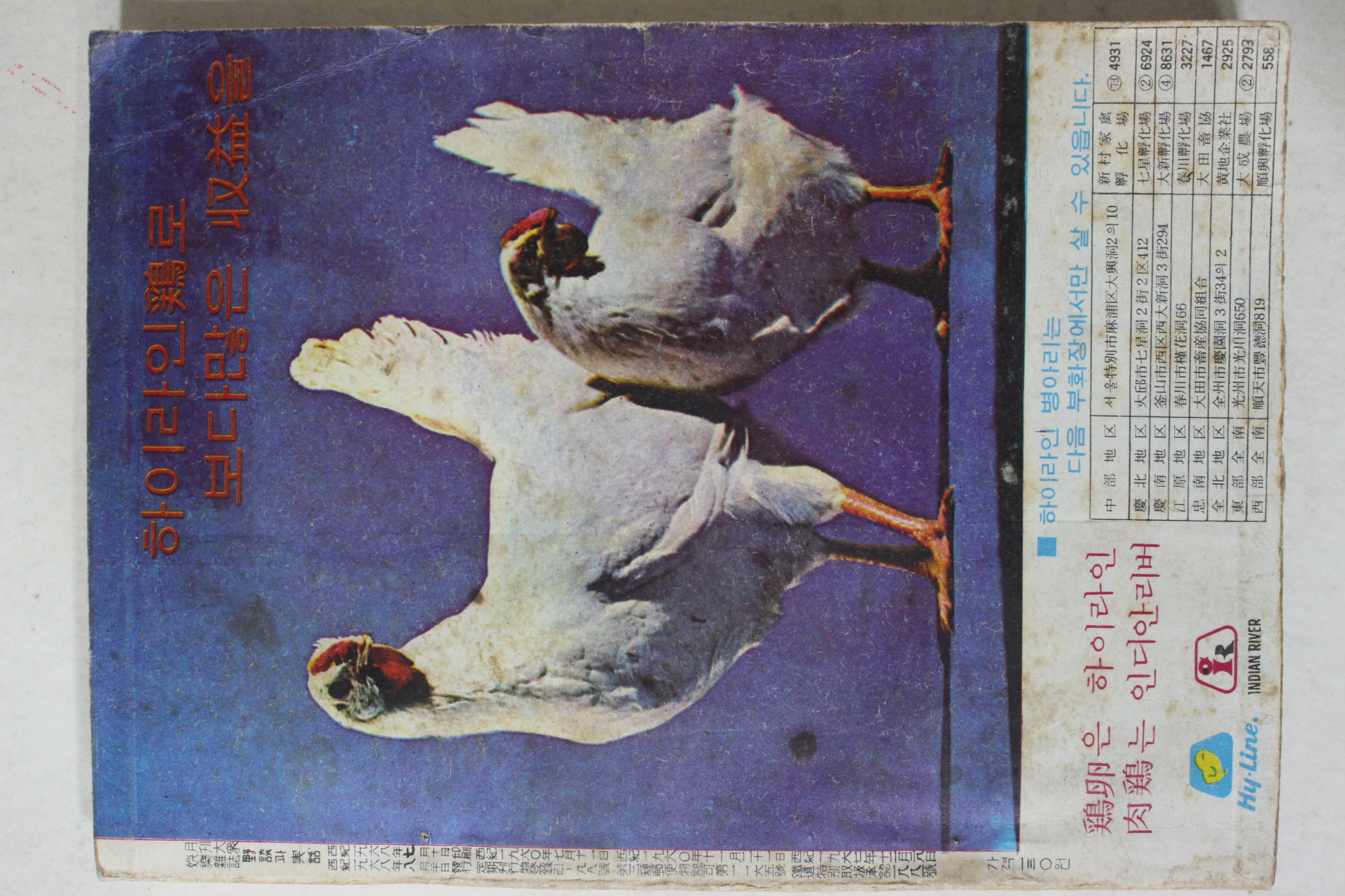 1968년 야담과 실화(野談과 實話) 9월호