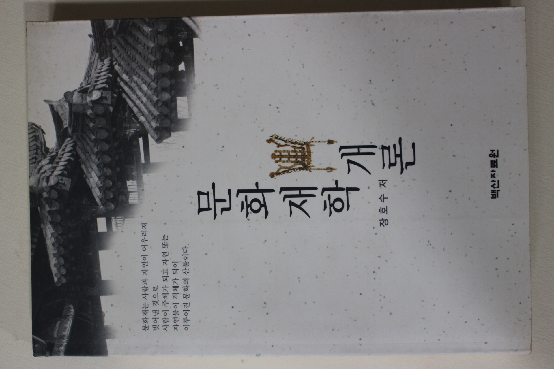 2002년 장호수 문화재학개론