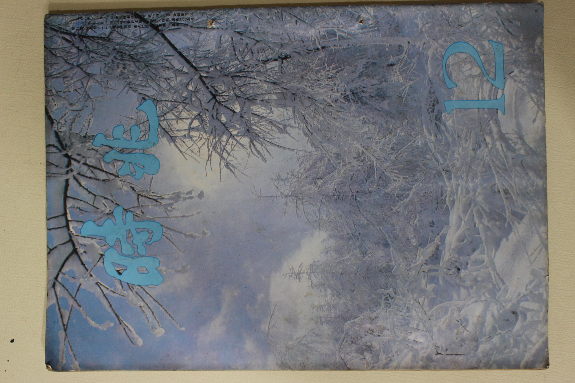 1981년 시조 12월호