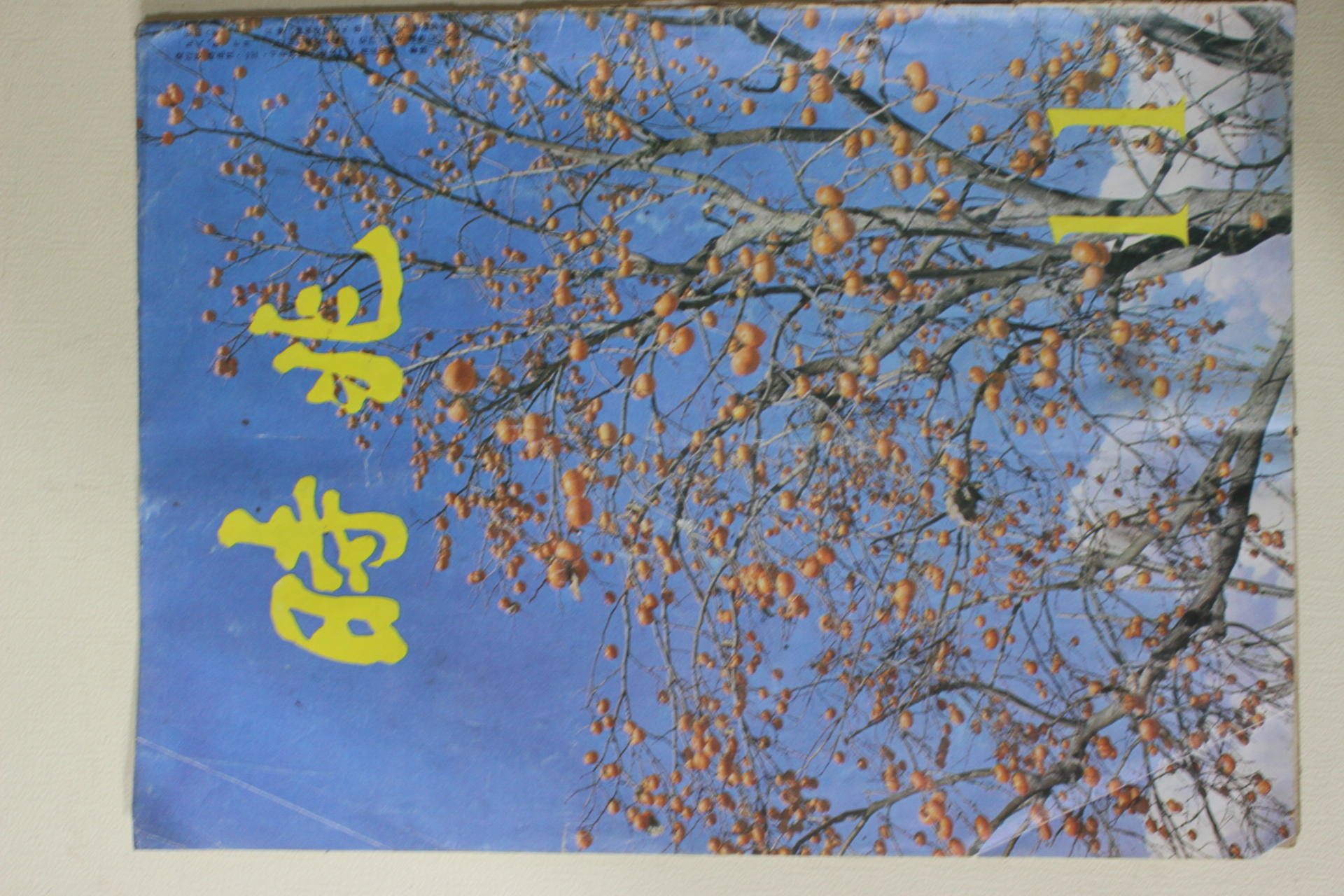 1981년 시조 11월호