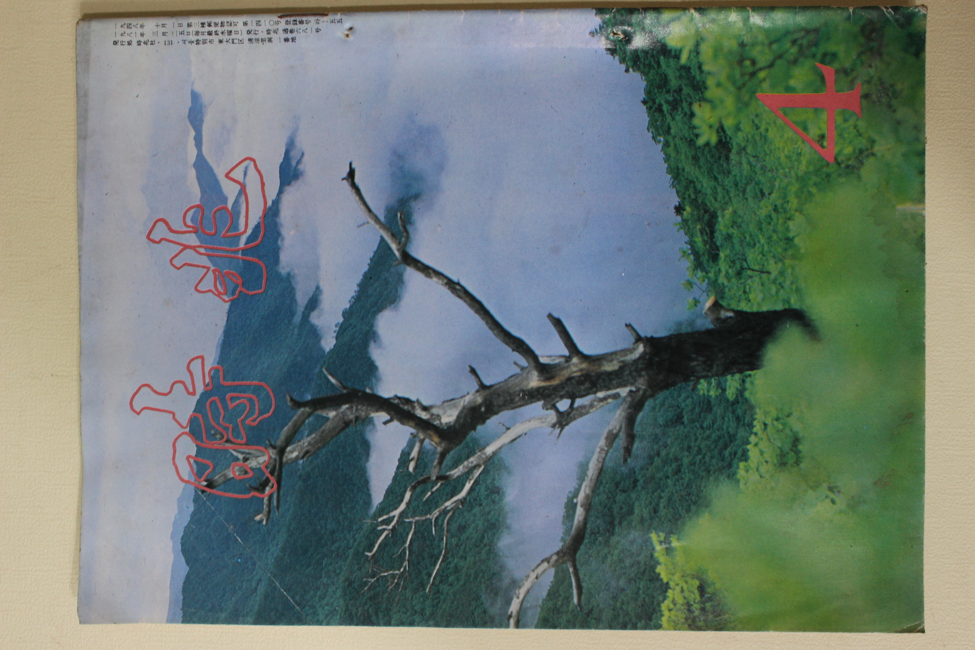 1981년 시조 4월호