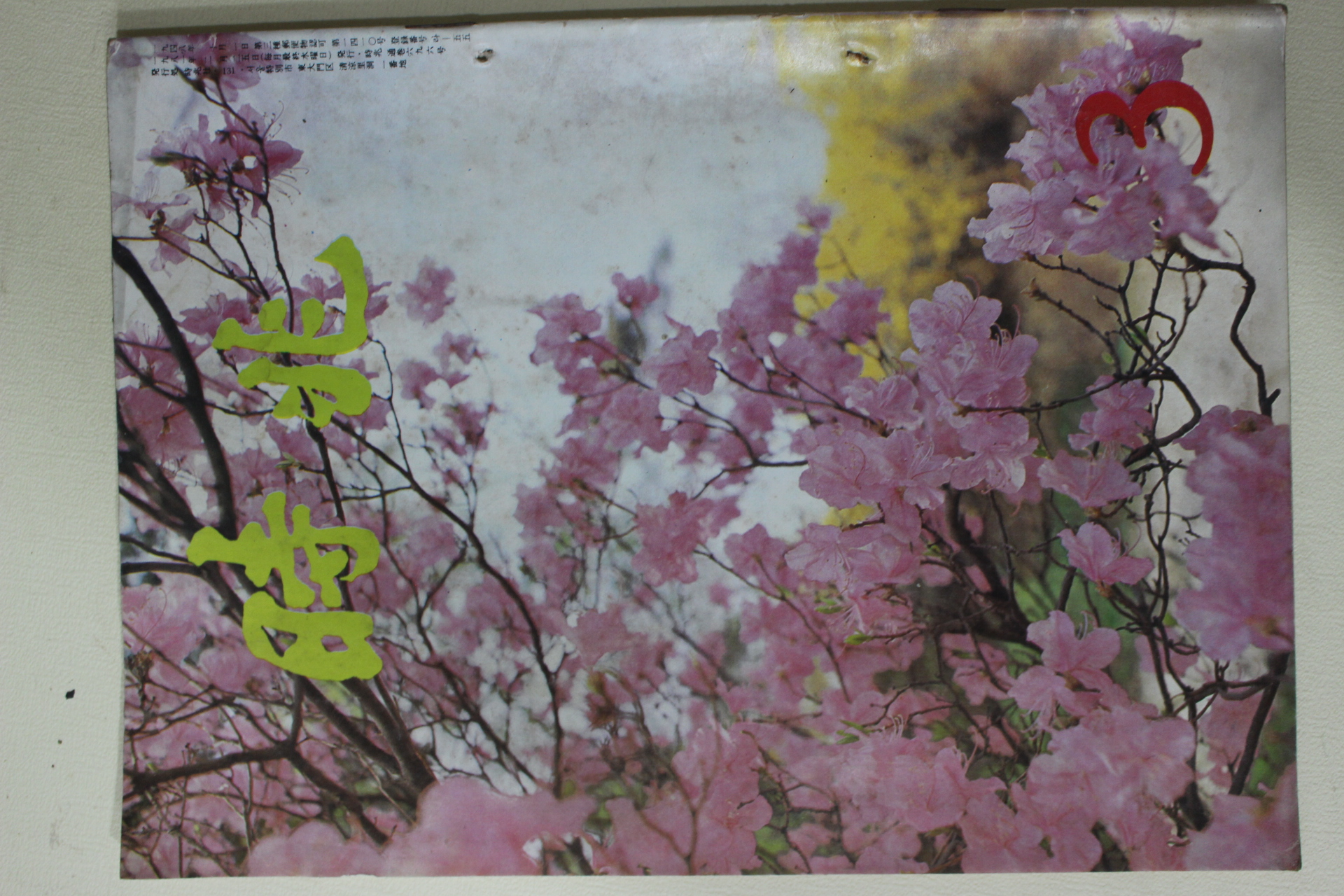 1981년 시조 3월호