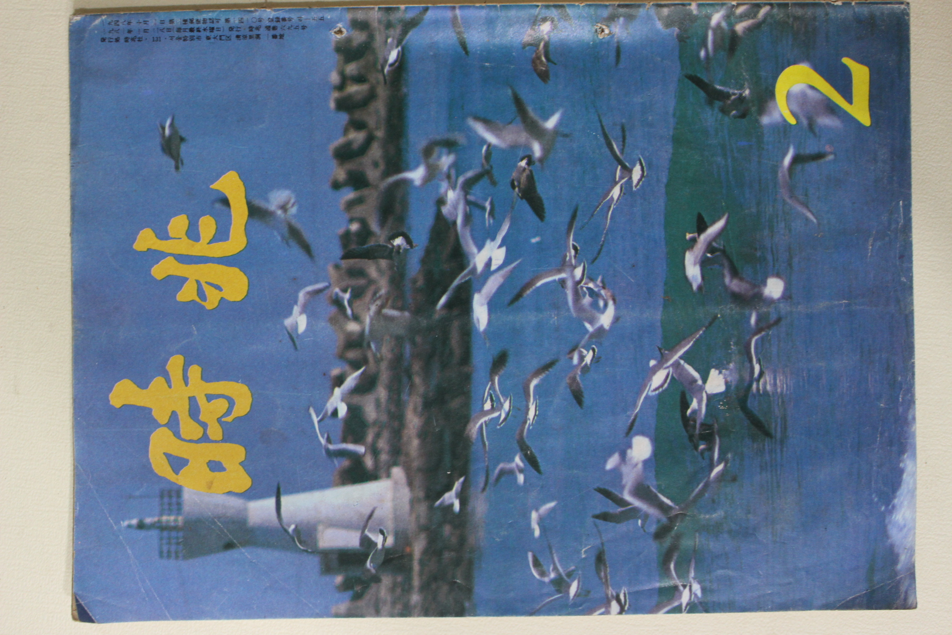 1981년 시조 2월호