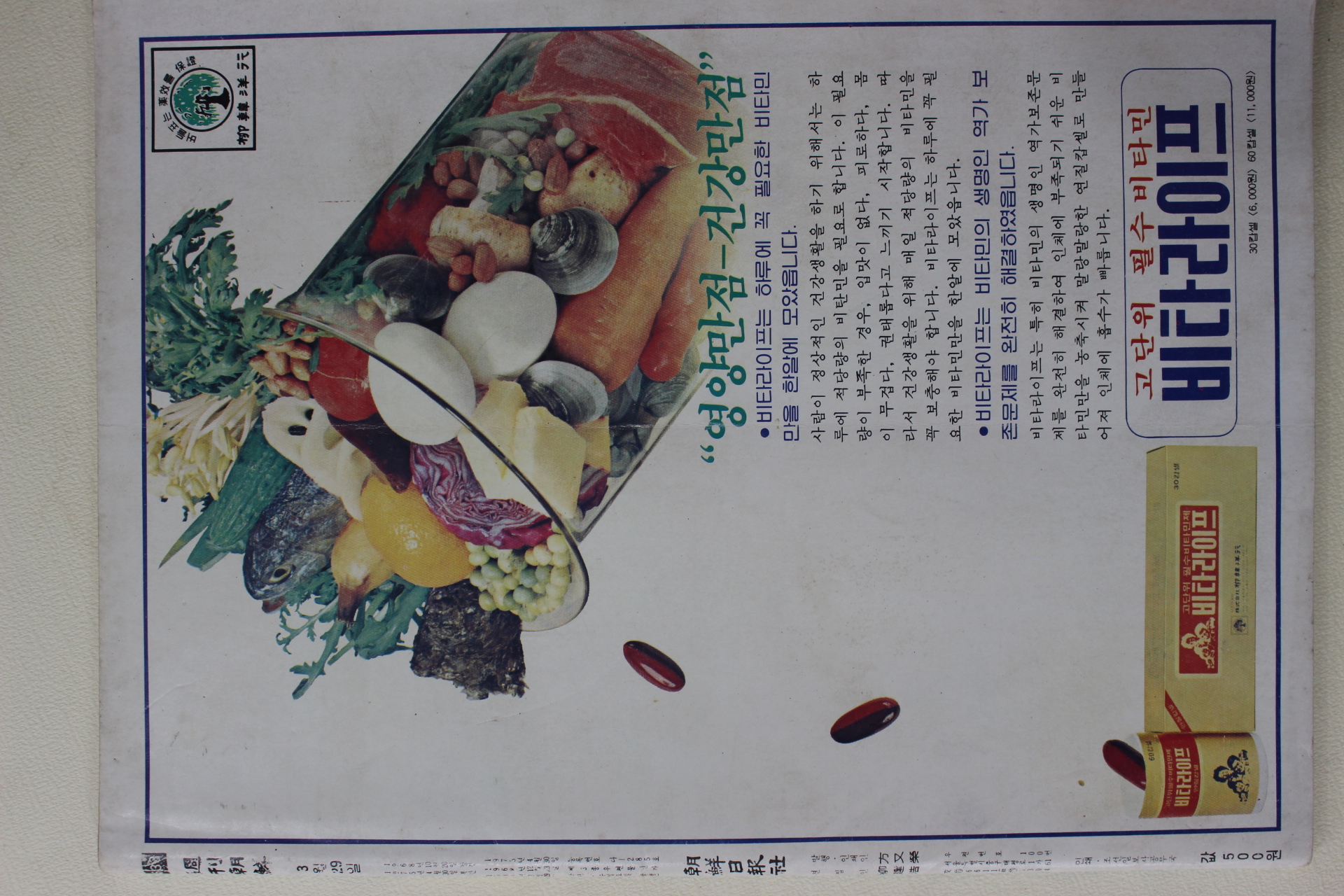 1981년 주간조선 3월29일자