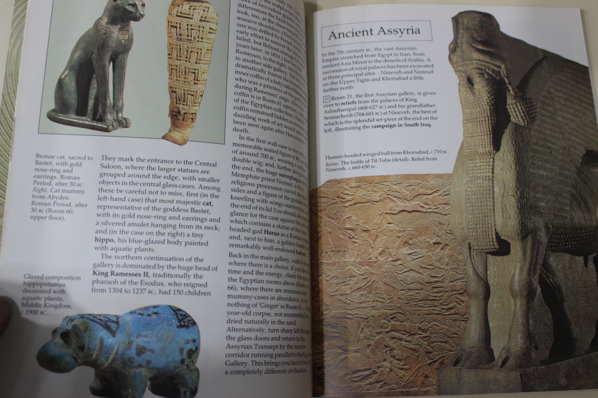 1990년 영국박물관 가이드(britism museum)