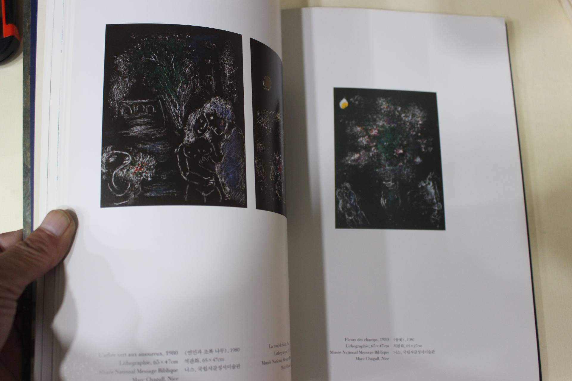 2004년 한국일보 색채의 마술 샤갈 도록