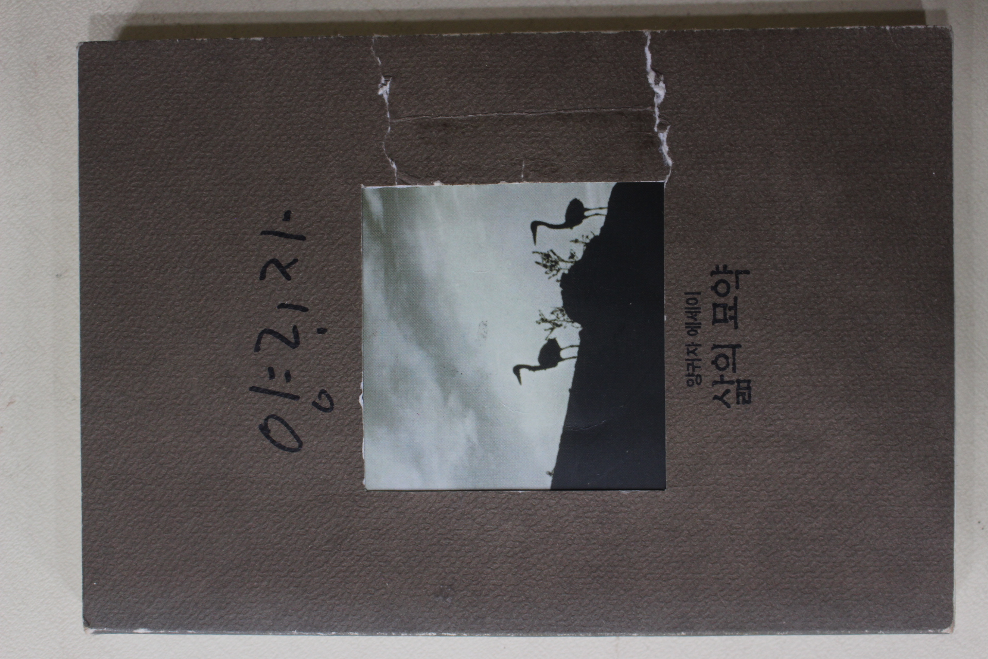 1996년 양귀자 삶의 묘