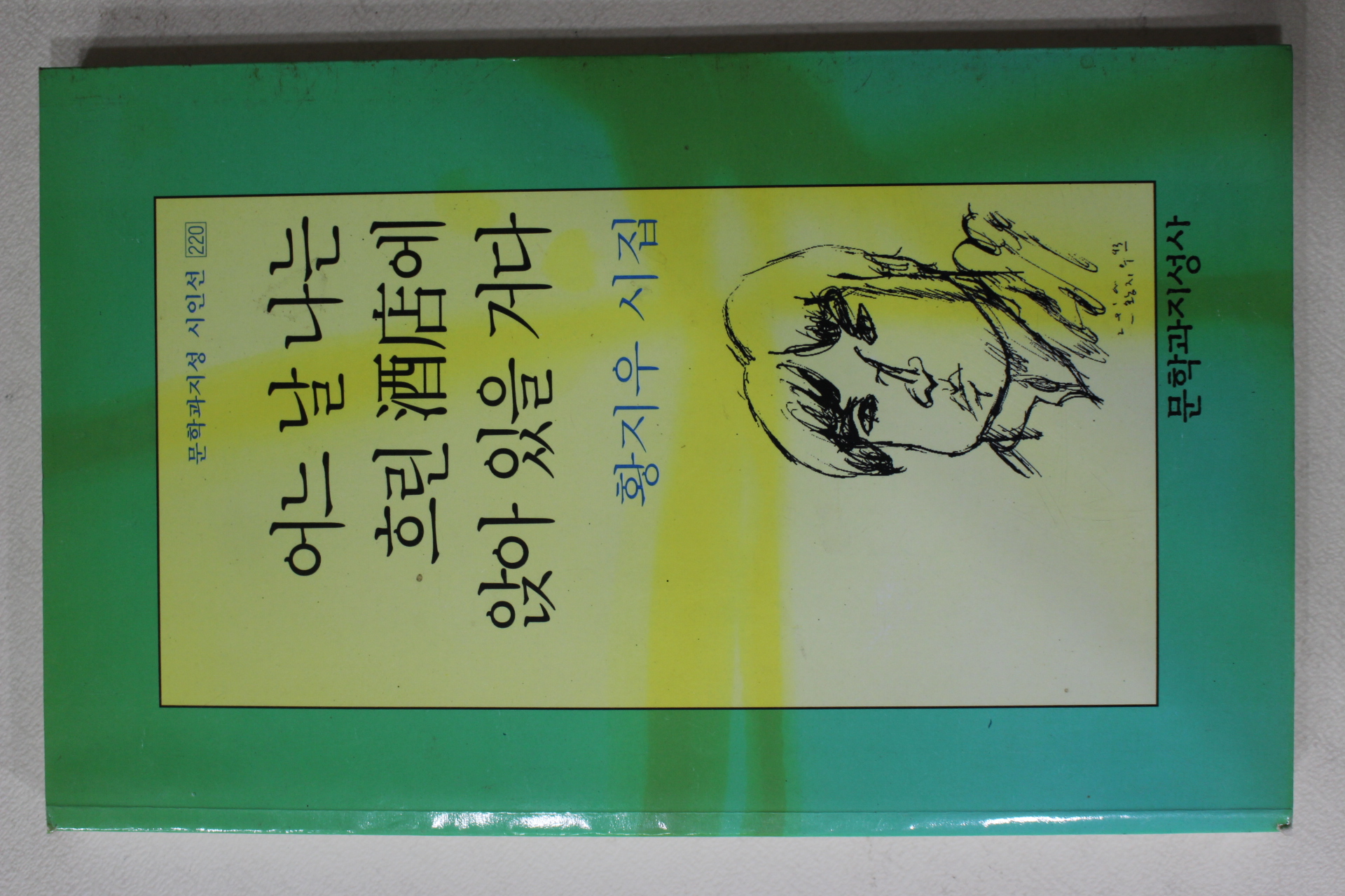 1999년 황지우시집 어느날 나는 흐린 주점에 않아 있을거다
