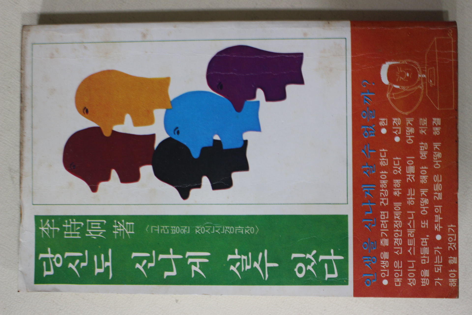 1979년초판 이시형(李時炯) 당신도 신나게 살수있다