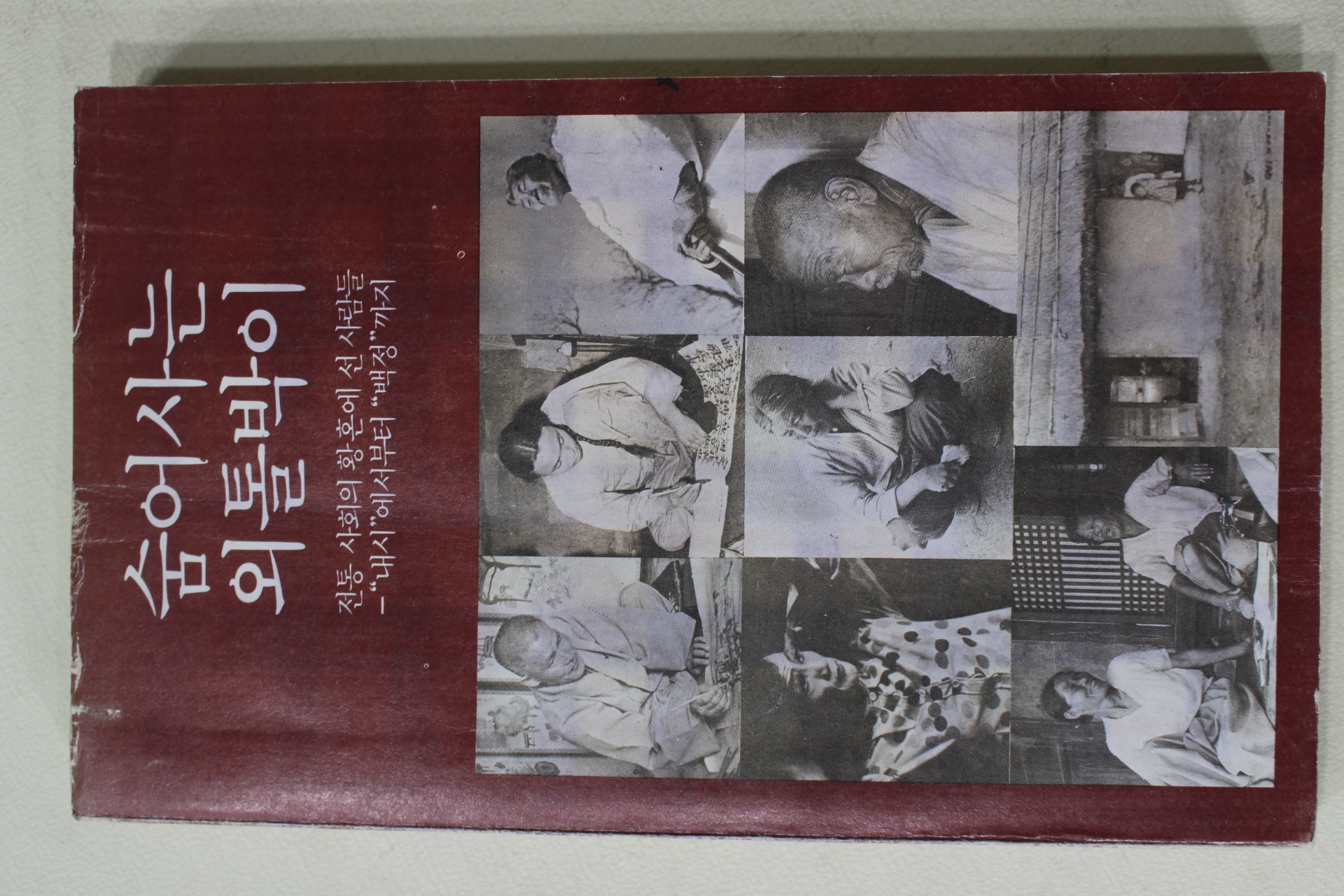 1979년 숨어사는 외톨박이