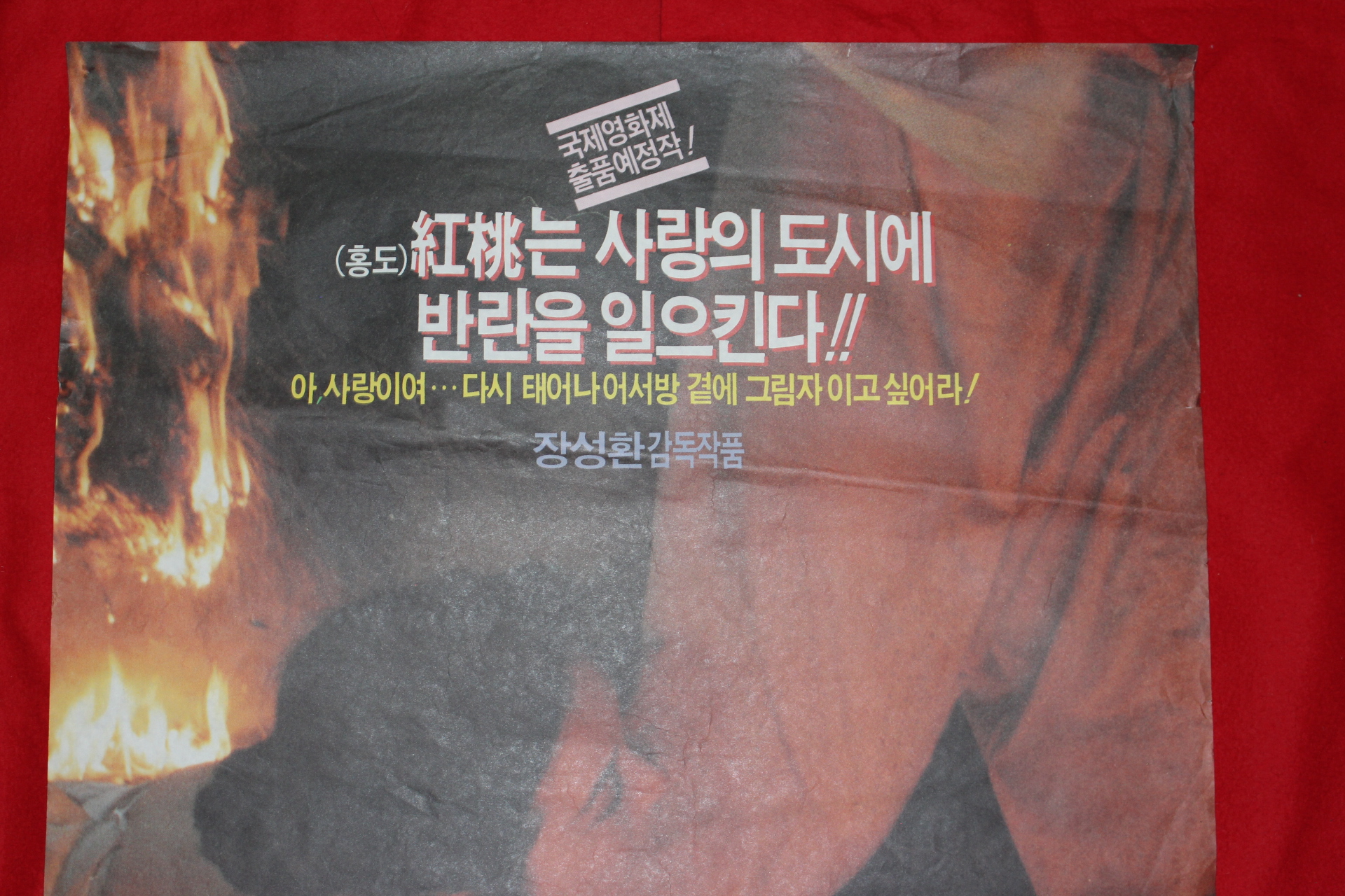 541-1992년 임미애,강인덕,신성일,방희,이재은 영화 포스터 애사당 홍도