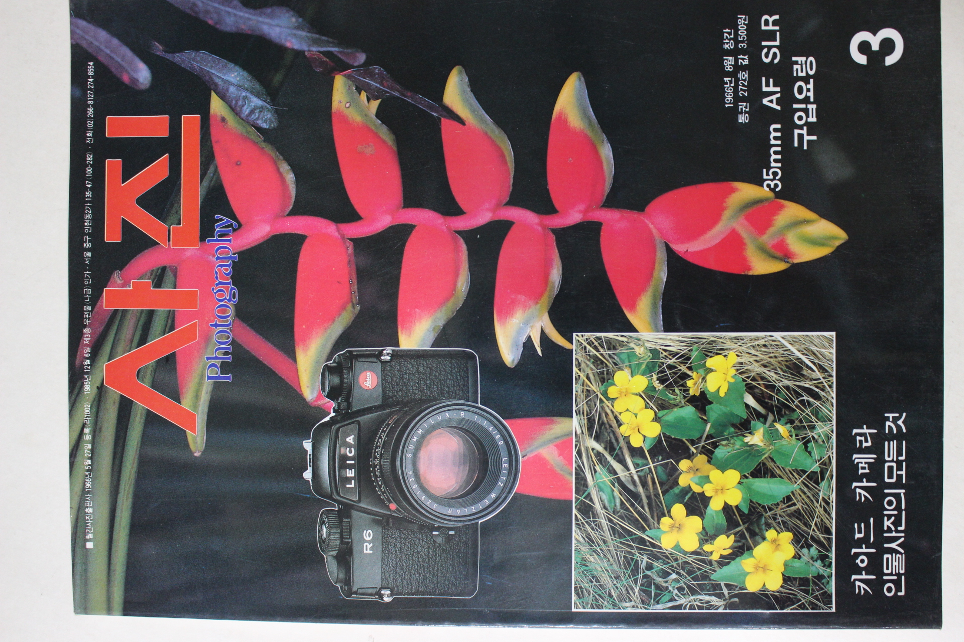 1990년 월간 사진 3월호