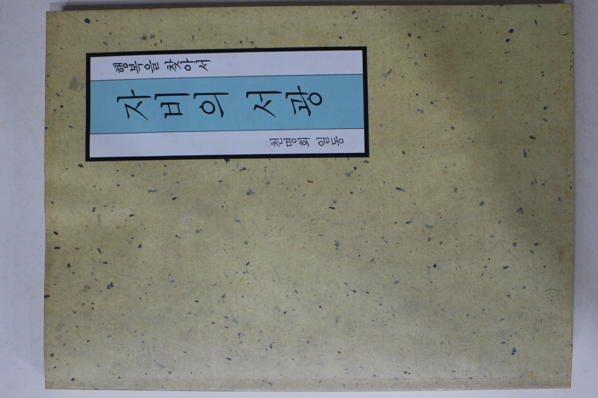 천명회 자비의 서광