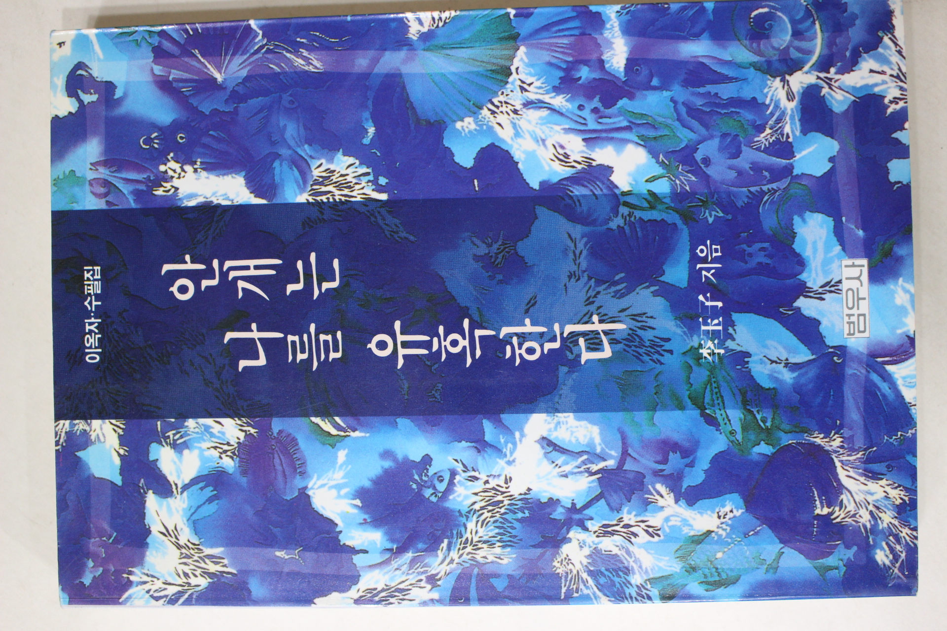 1993년초판 이옥자(李玉子) 안개는 나를 유혹한다