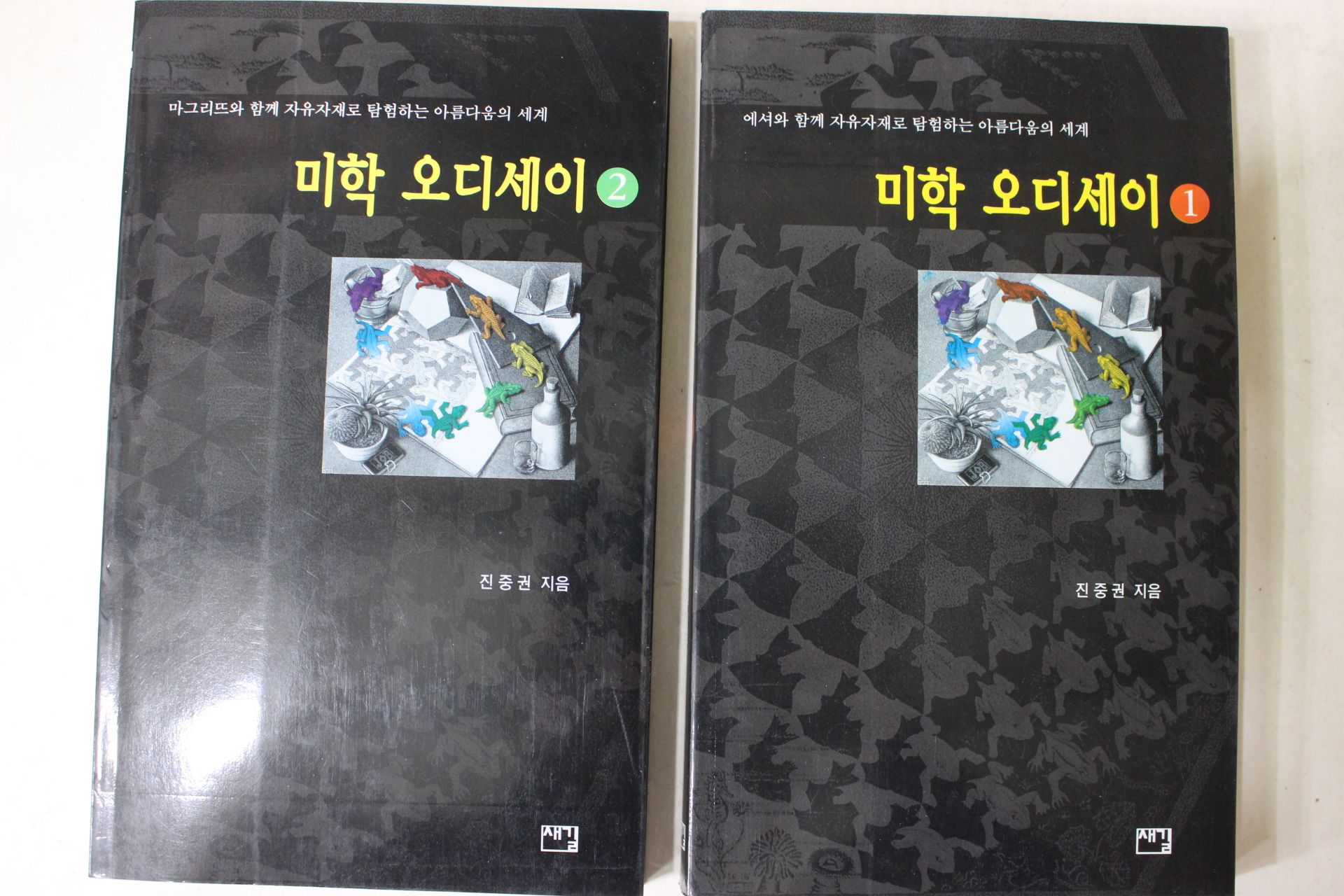 2001년 진중권 미학 오디세이 2책완질