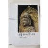 2003년초판 석불 돌에 새긴 정토의 꿈