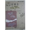 1994년초판 김종 삼별초 그 황홀한 왕국을 찾아서 상권