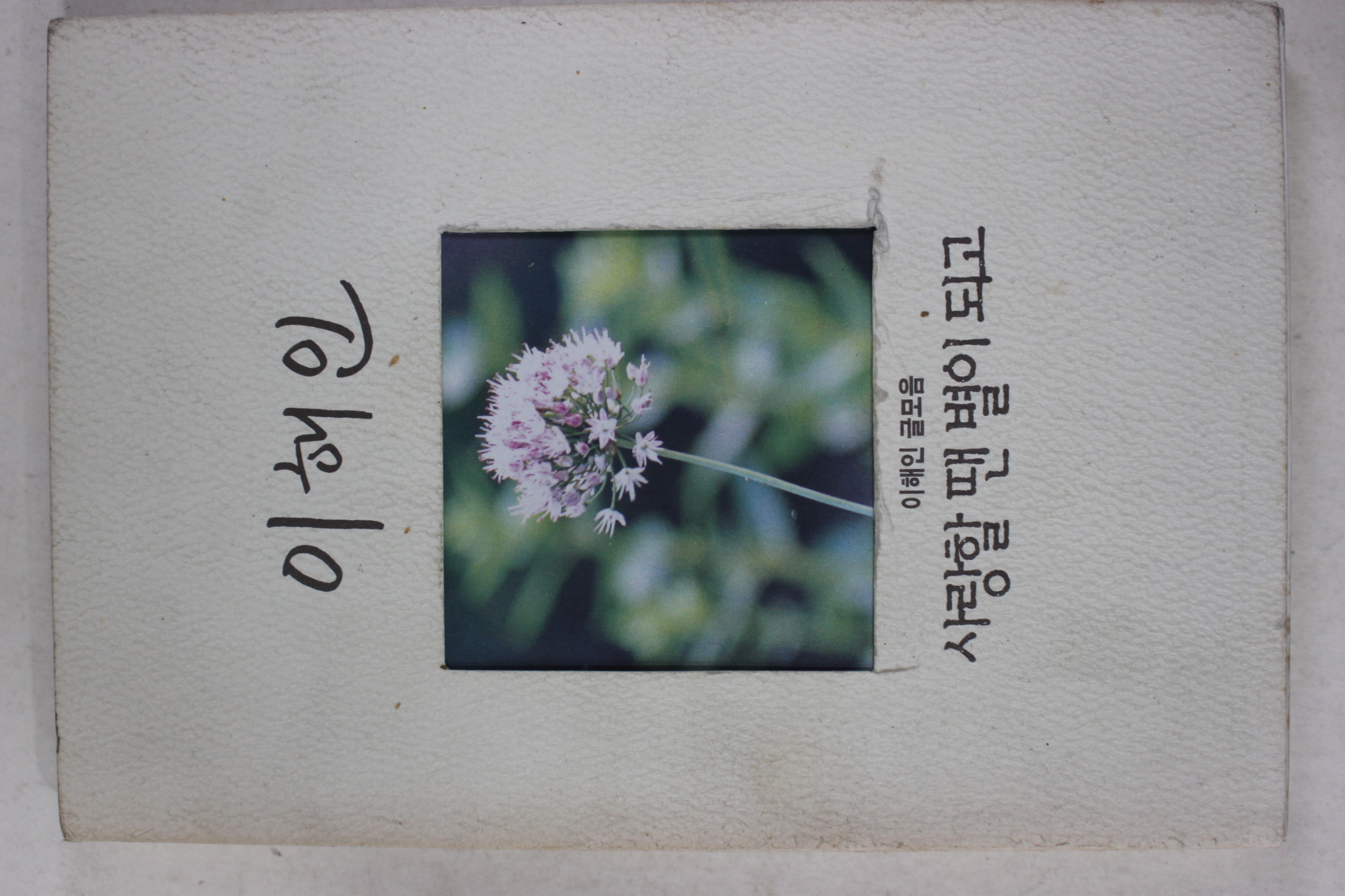 1997년 이해인 사랑할 땐 별이 되고