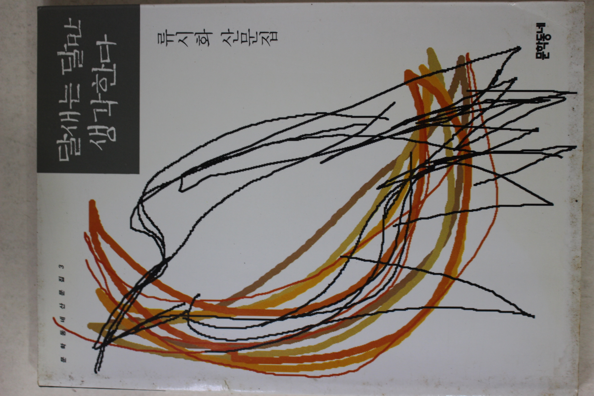 1994년 류시화 달새는 달만 생각한다