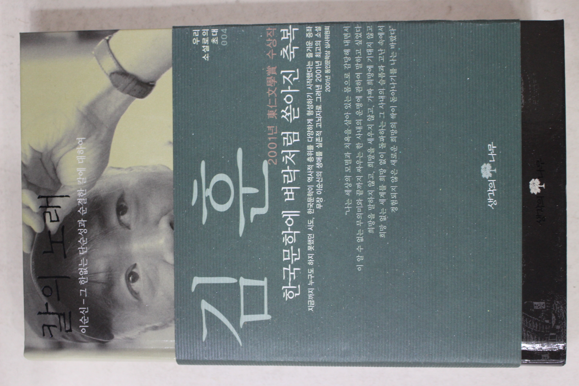 2001년 김훈 이순신 그한없는 단순성과 순결한 칼에 대하여 칼의 노래