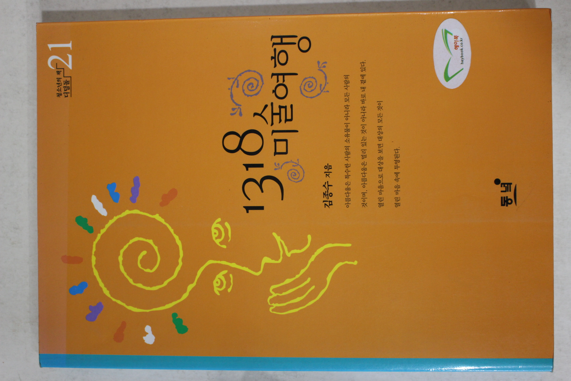 2003년 김종수 1318 미술여행