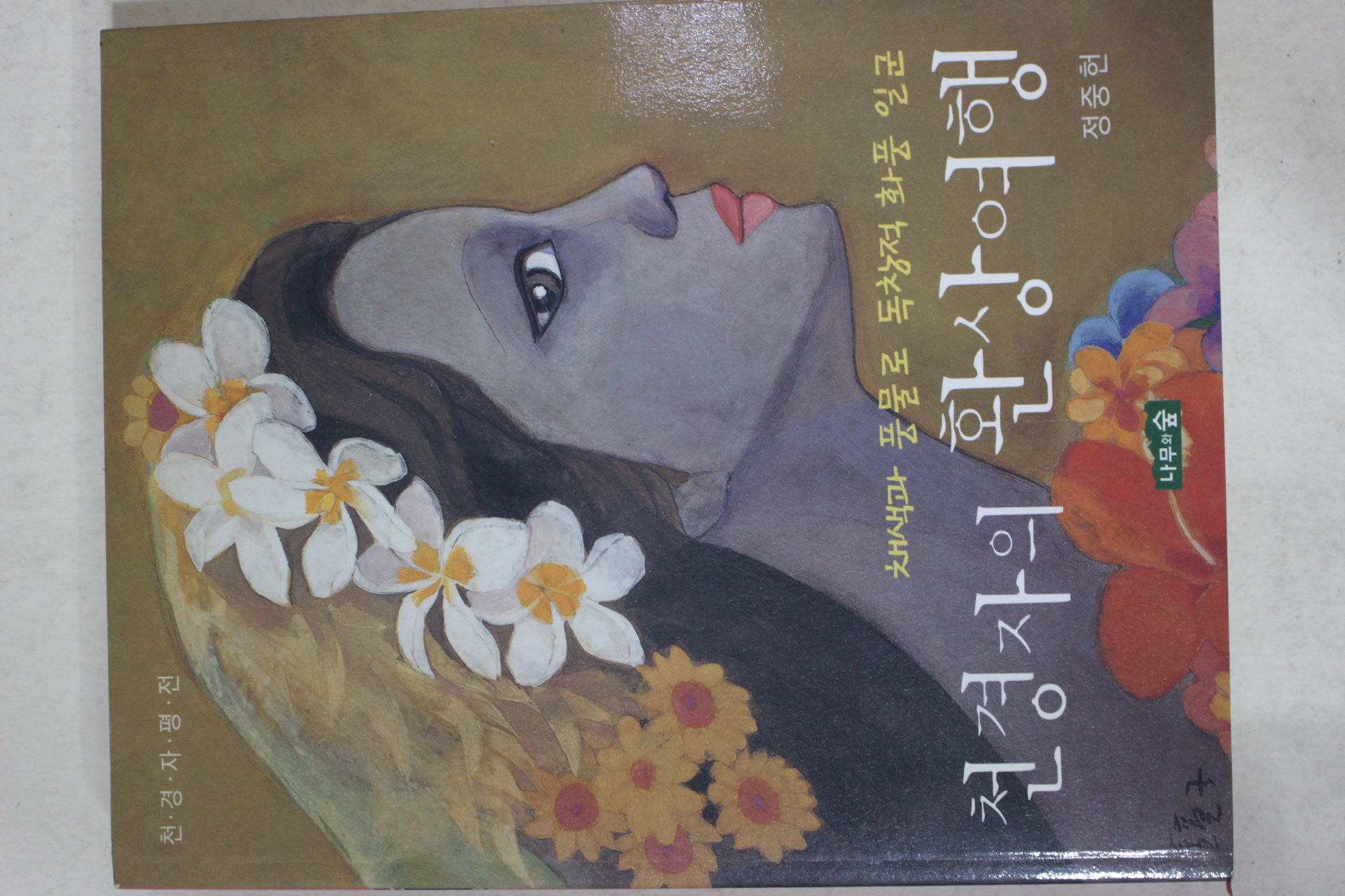 2006년초판 정종헌 천경자의 환상여행