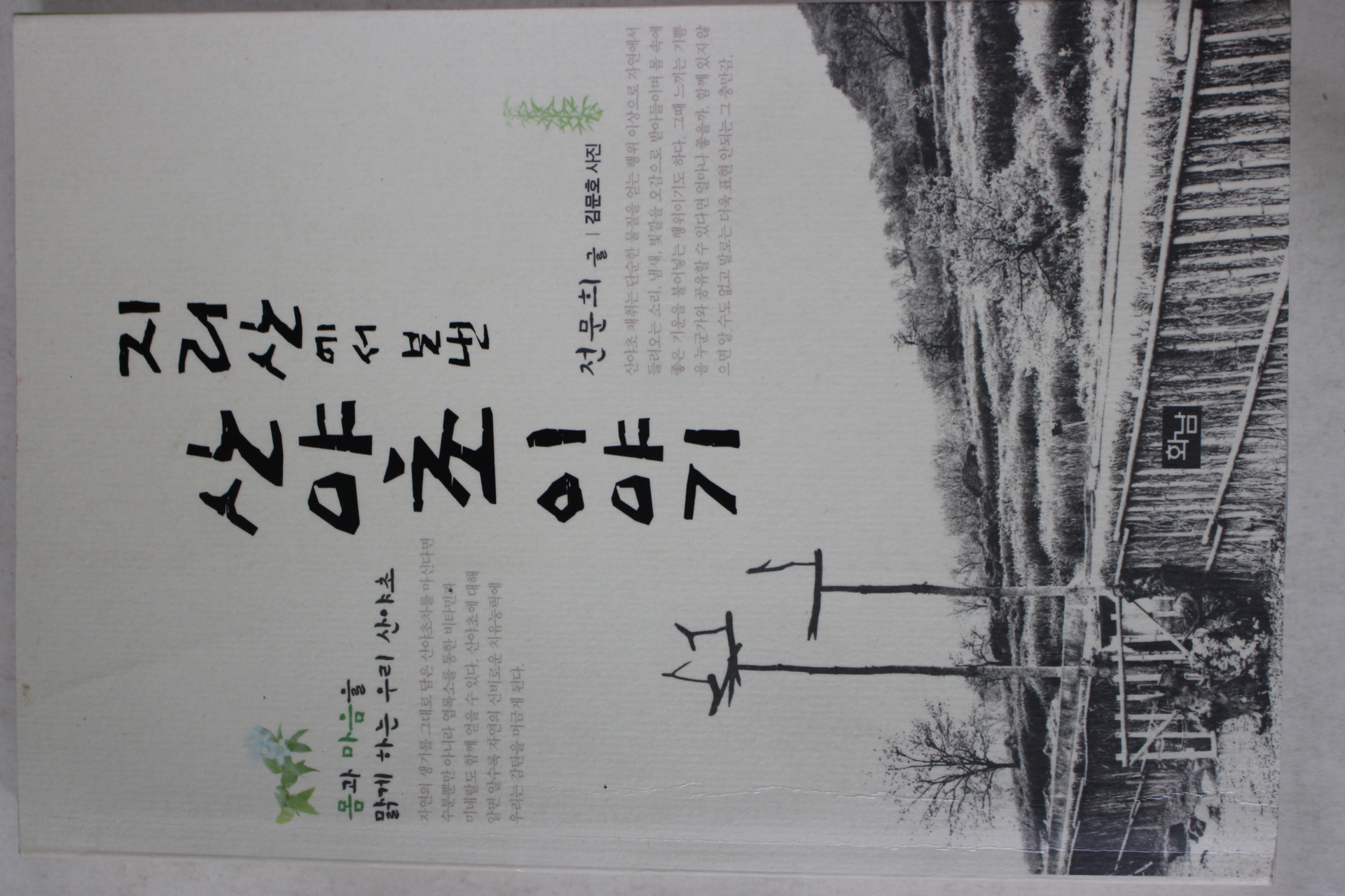 2003년초판 전문희 지리산에서 보낸 산야초이야기