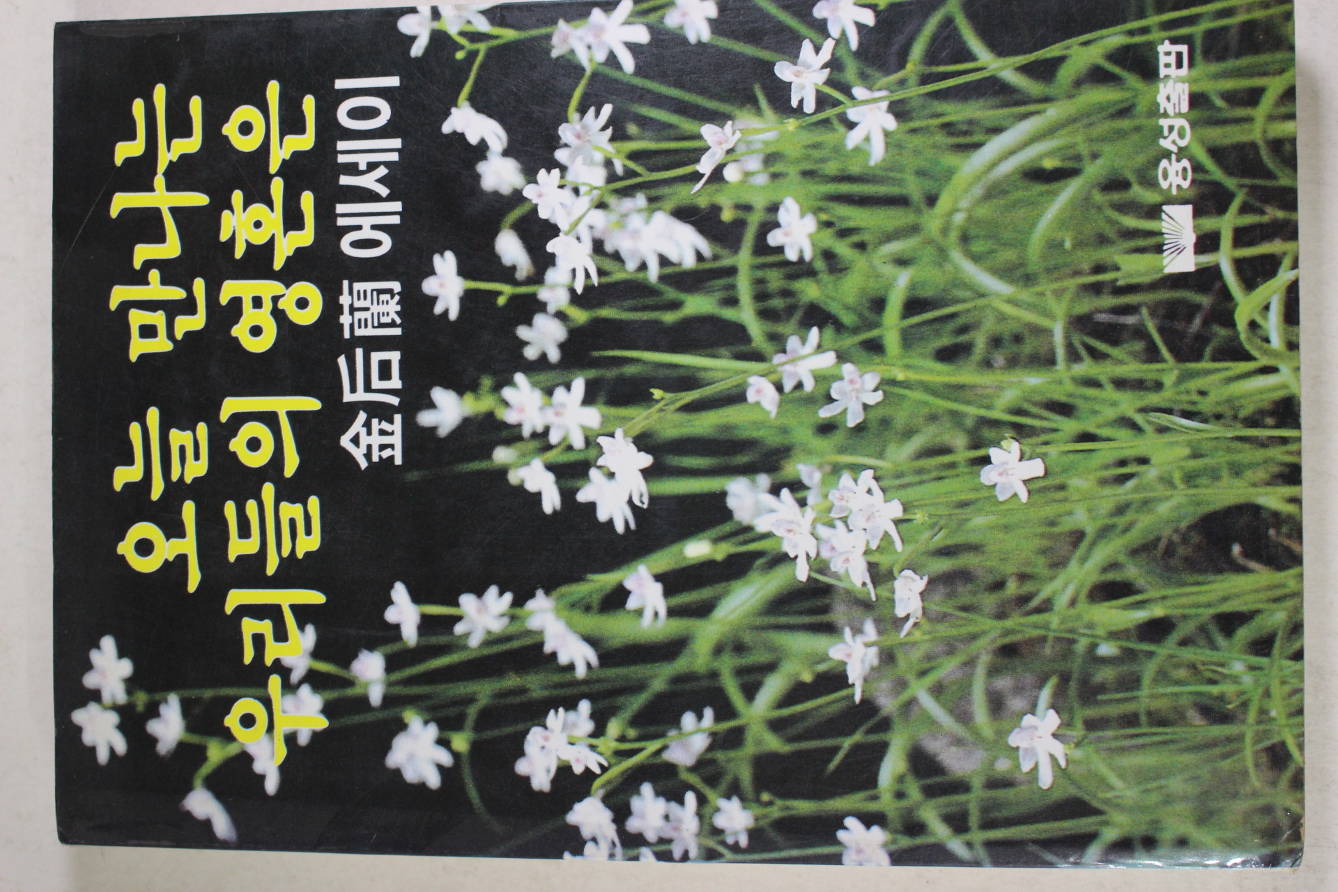 1985년초판 김후란(金后蘭) 오늘 만나는 우리들의 영혼은