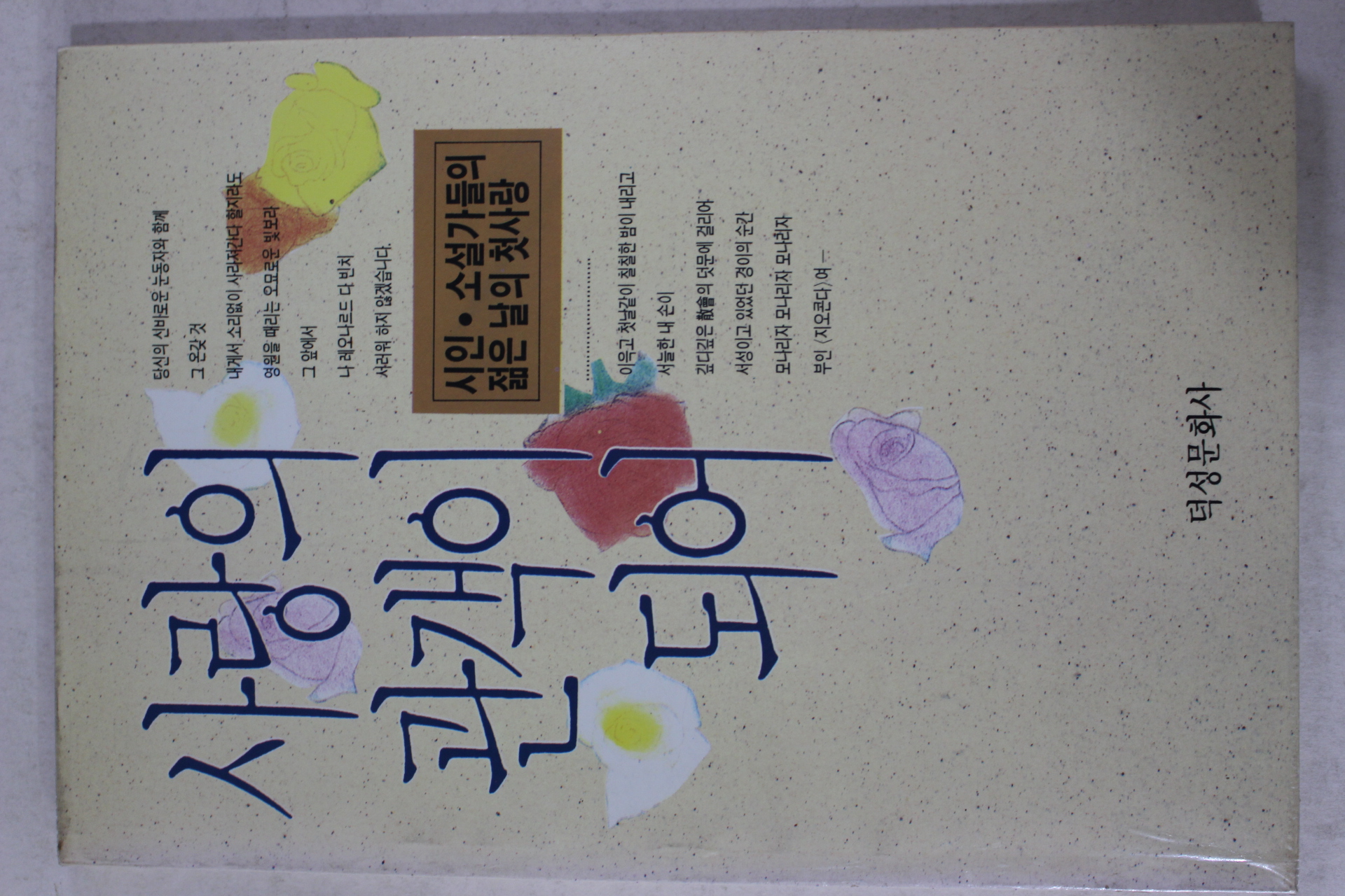 1991년초판 사랑의 관객이 되어