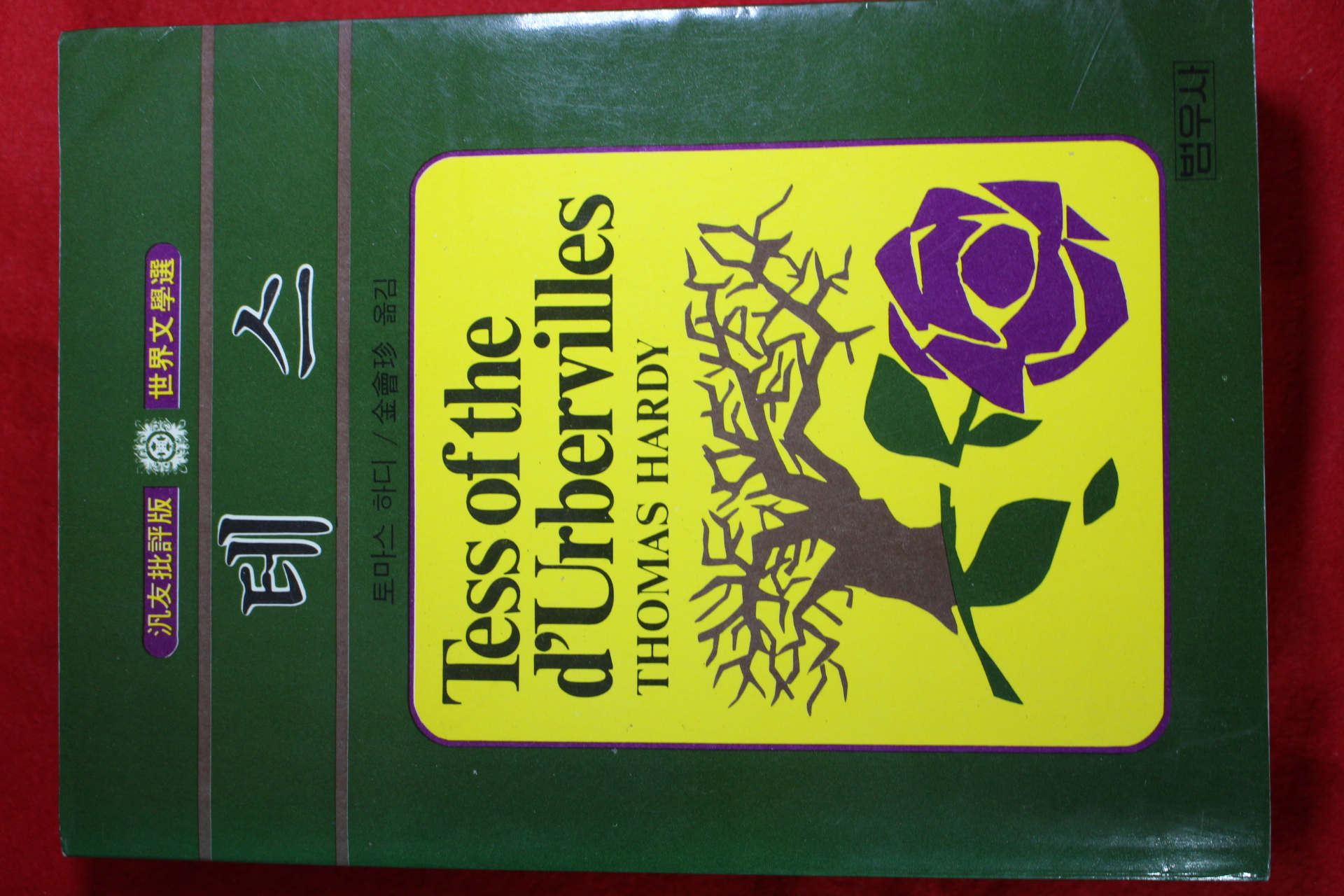 1992년 토마스하디 테스