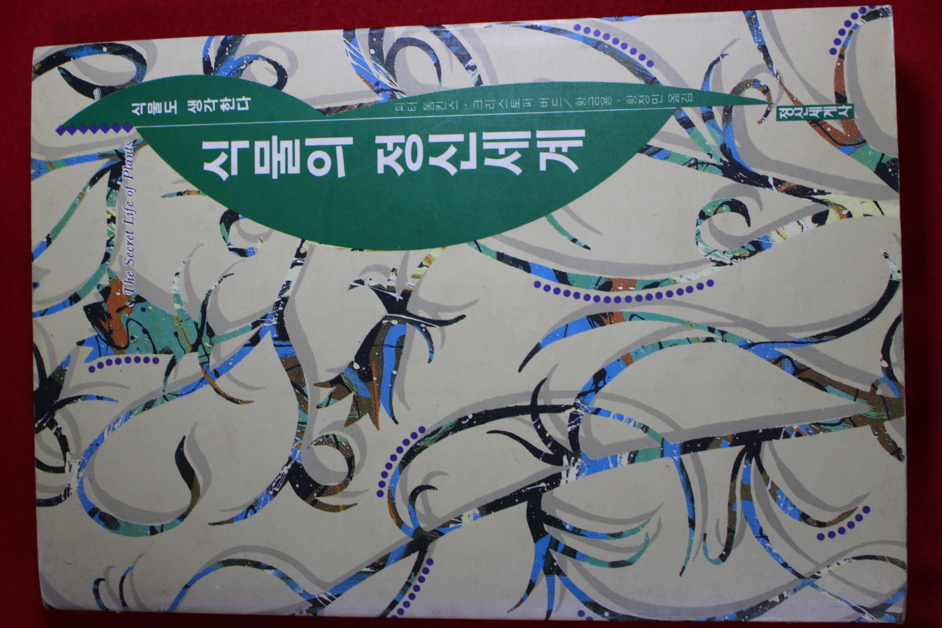 1993년 식물의 정신세계