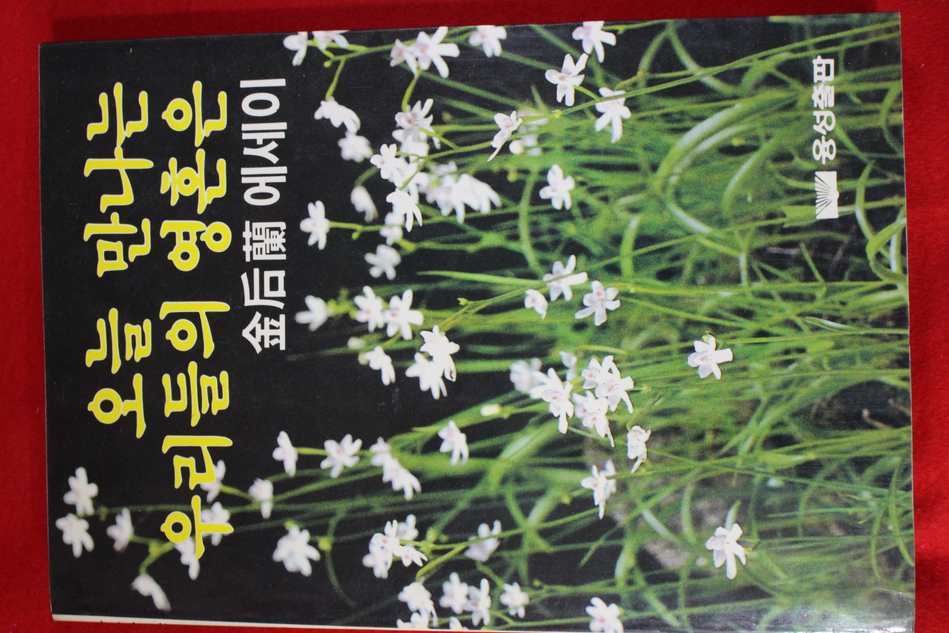 1985년초판 김후란(金后蘭) 오늘 만나는 우리들의 영혼은