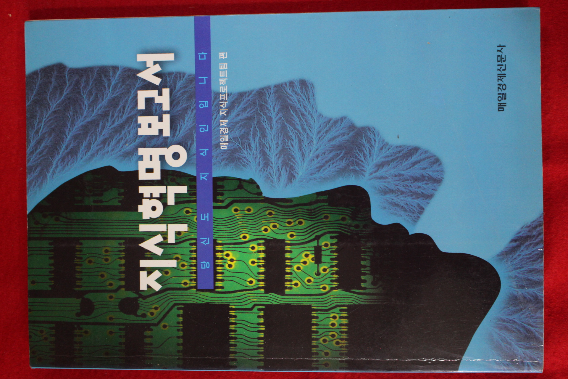 1998년 지식혁명보고서