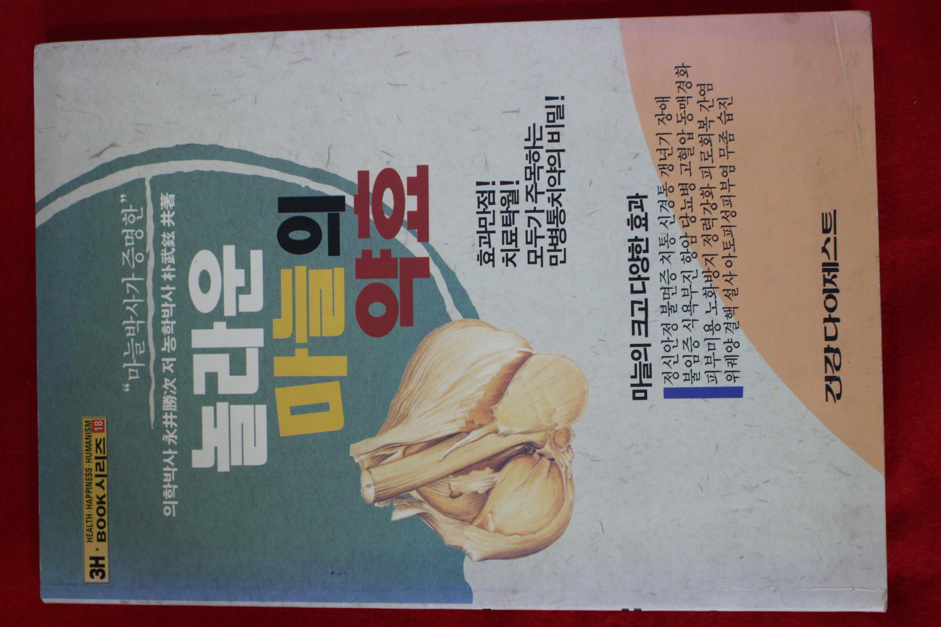 1995년초판 놀라운 마늘의 약효