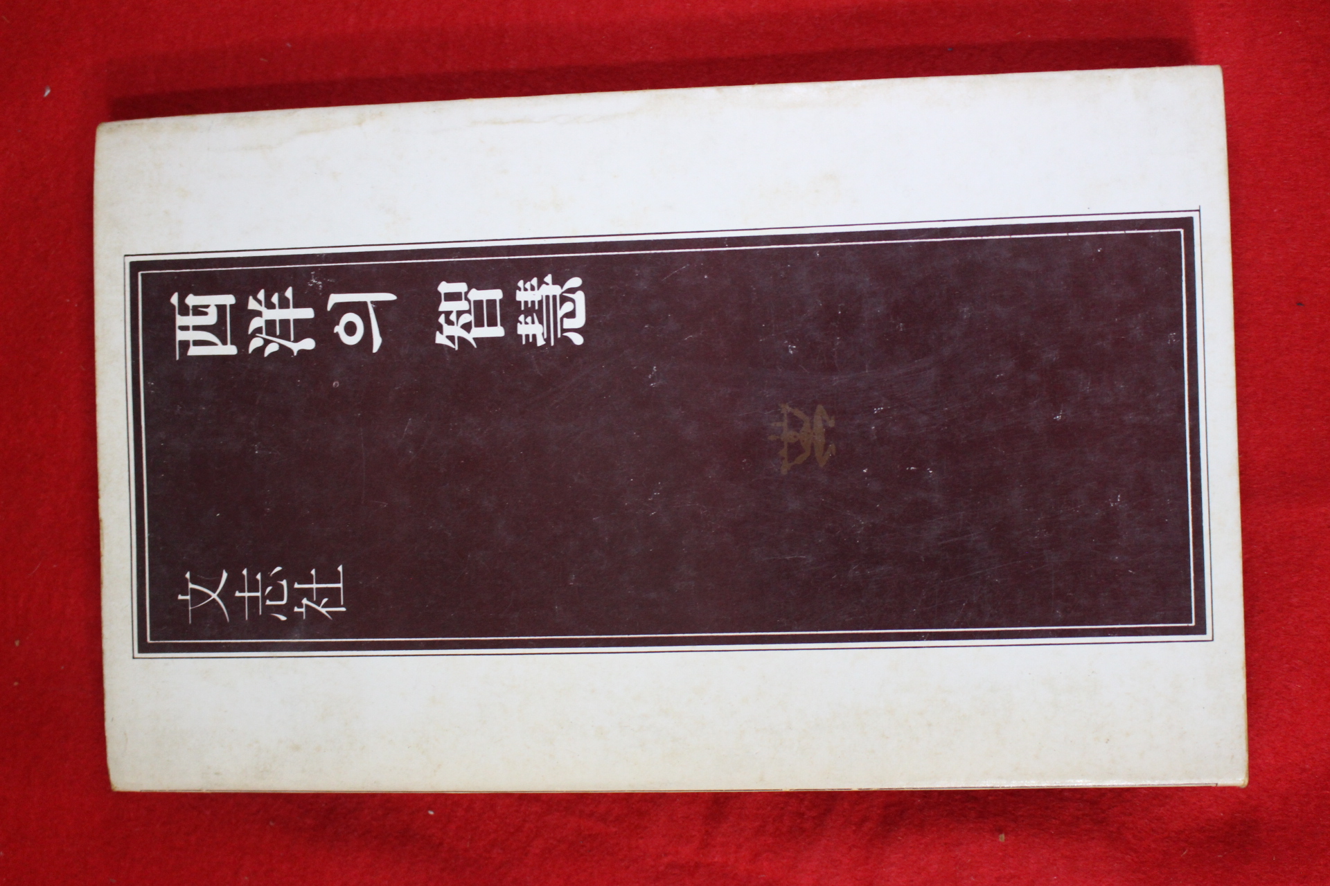 1981년초판 서영의 지혜