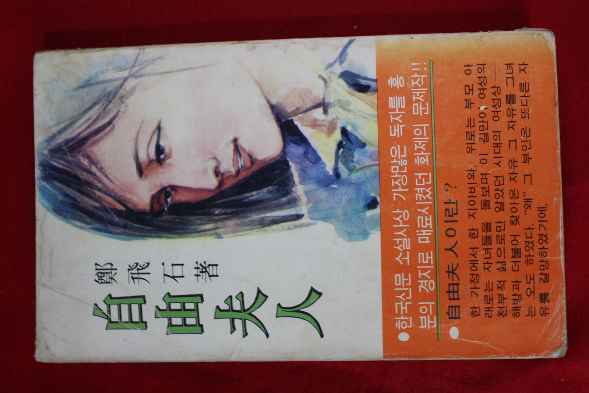 1980년 정비석(鄭飛石) 장편소설 자유부인(自由夫人) 1책완질
