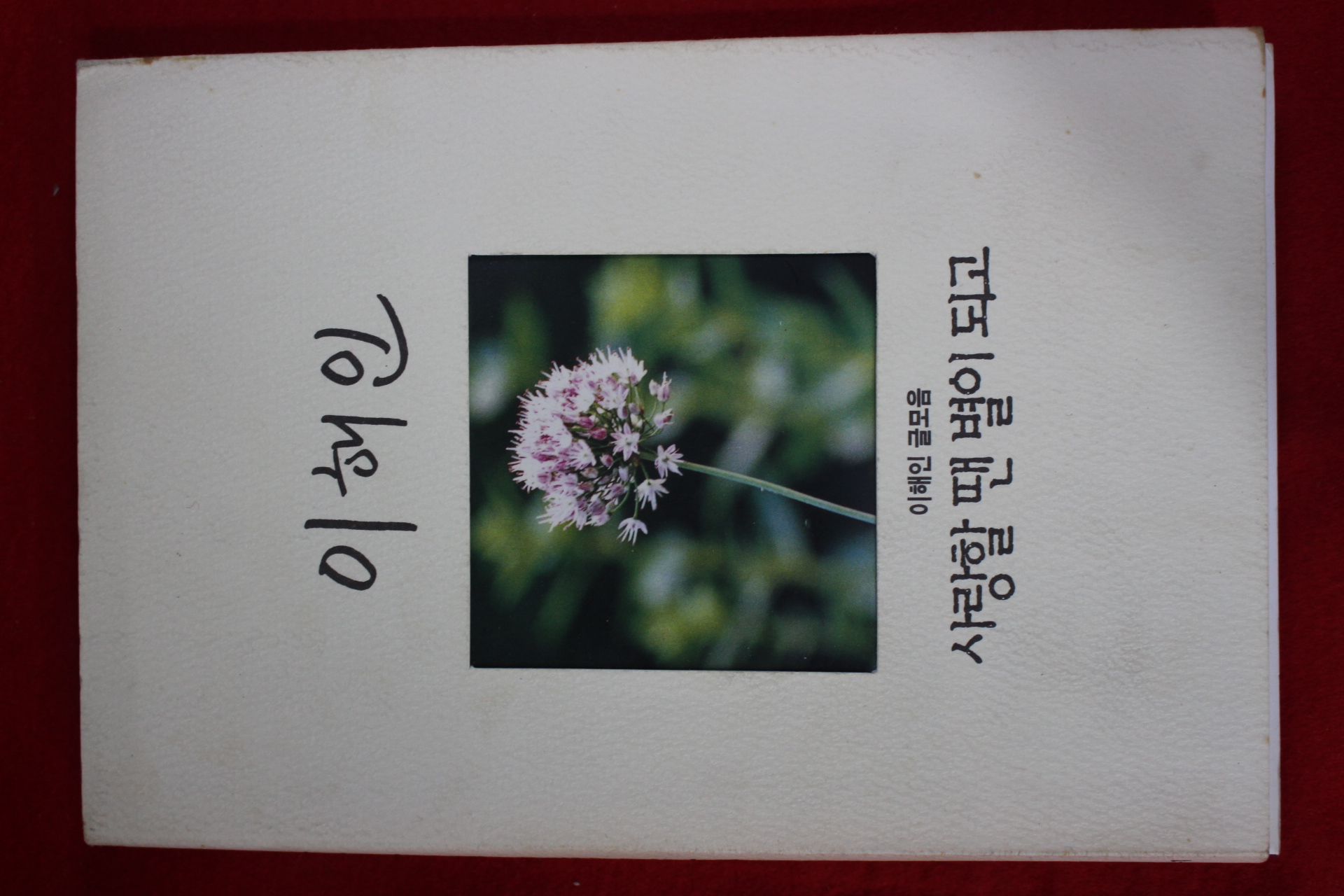 1998년 이해인 사랑할땐 별이 되고