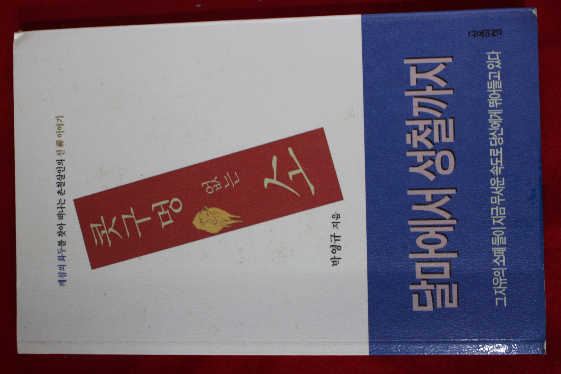 2006년초판 박영규 콧구멍 없는 소