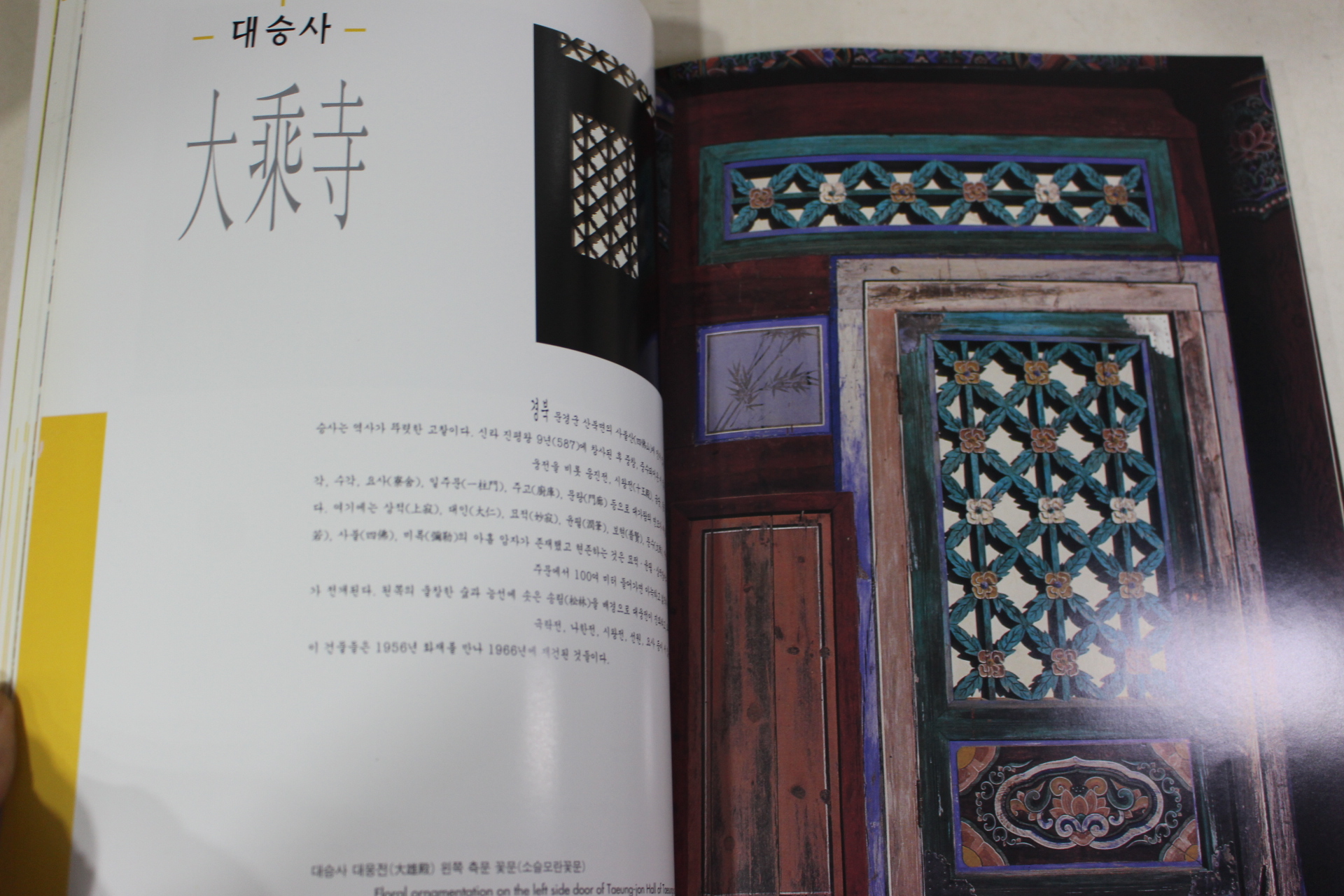 1996년 관조스님 꽃문