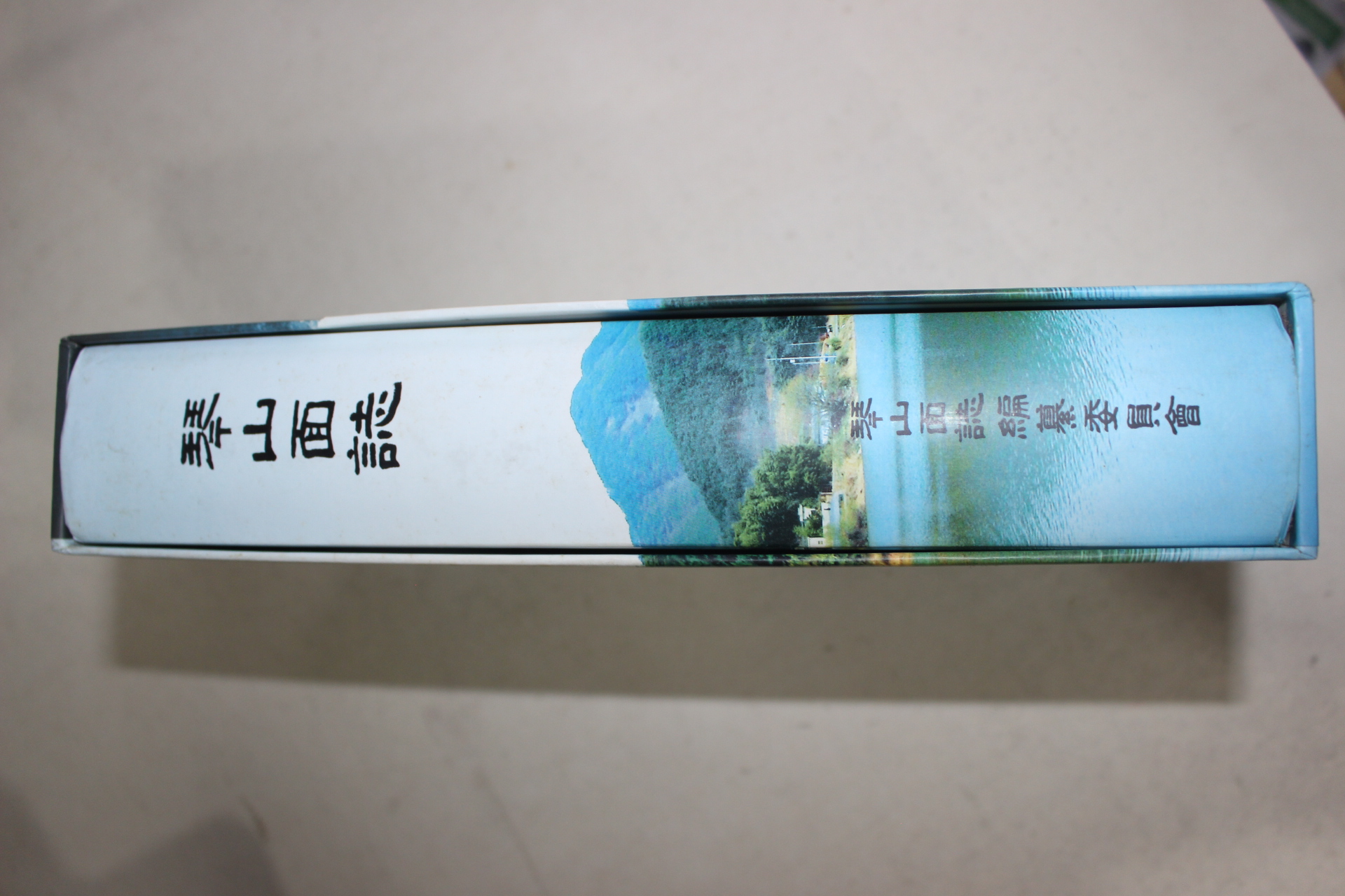 2009년 금산면지(琴山面誌)