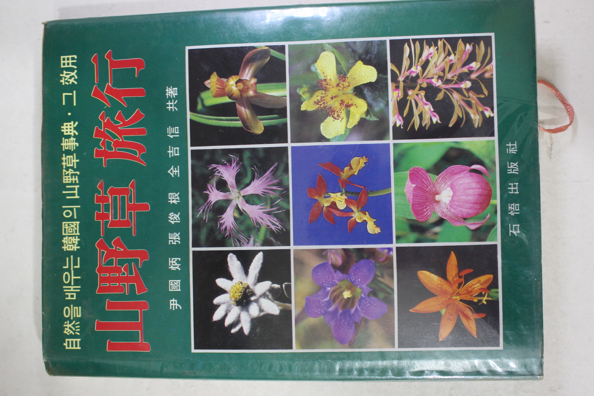 1988년 산야초여행