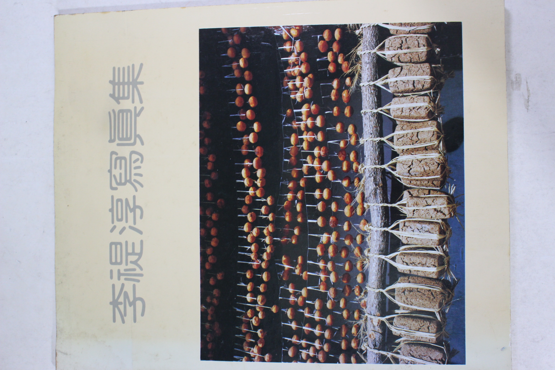 1985년 이제순(李禔淳) 사진집